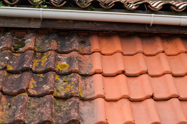 Industrial Roof Cleaning in Oceanside