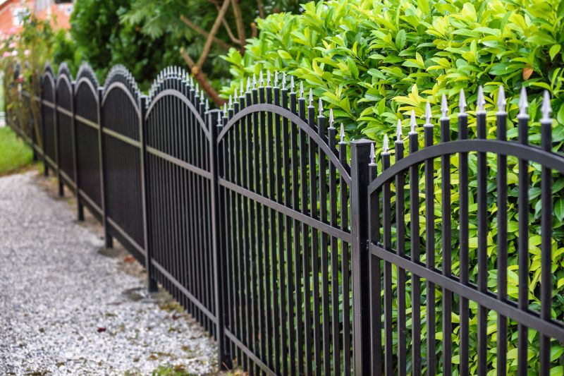 Wrought Iron Fence Washing